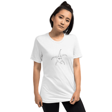 Lightweight Tri-Blend T-Shirt