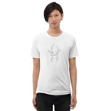 Lightweight Tri-Blend T-Shirt