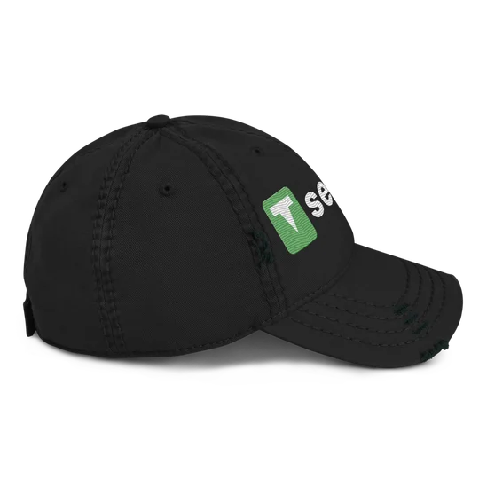 Send It Distressed Dad Hat, photo 3 of 4