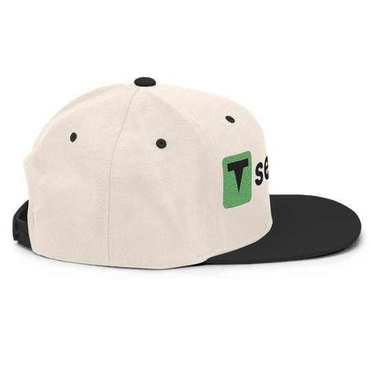 Send It Snapback, photo 6 of 7