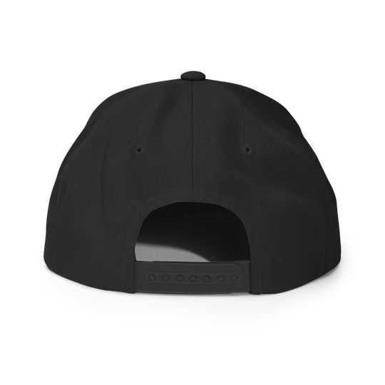 Gem Mint 10 Snapback Hat, photo 2 of 6