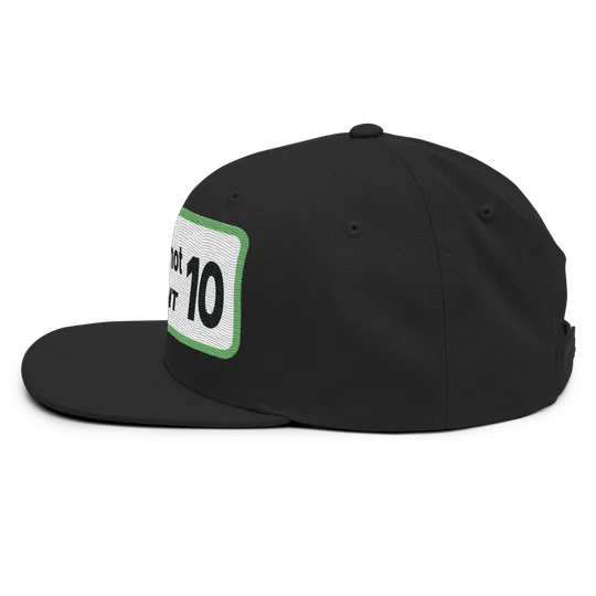 Gem Mint 10 Snapback Hat, photo 4 of 6