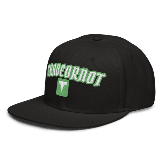 GON Name Plate Snapback Hat, photo 3 of 6