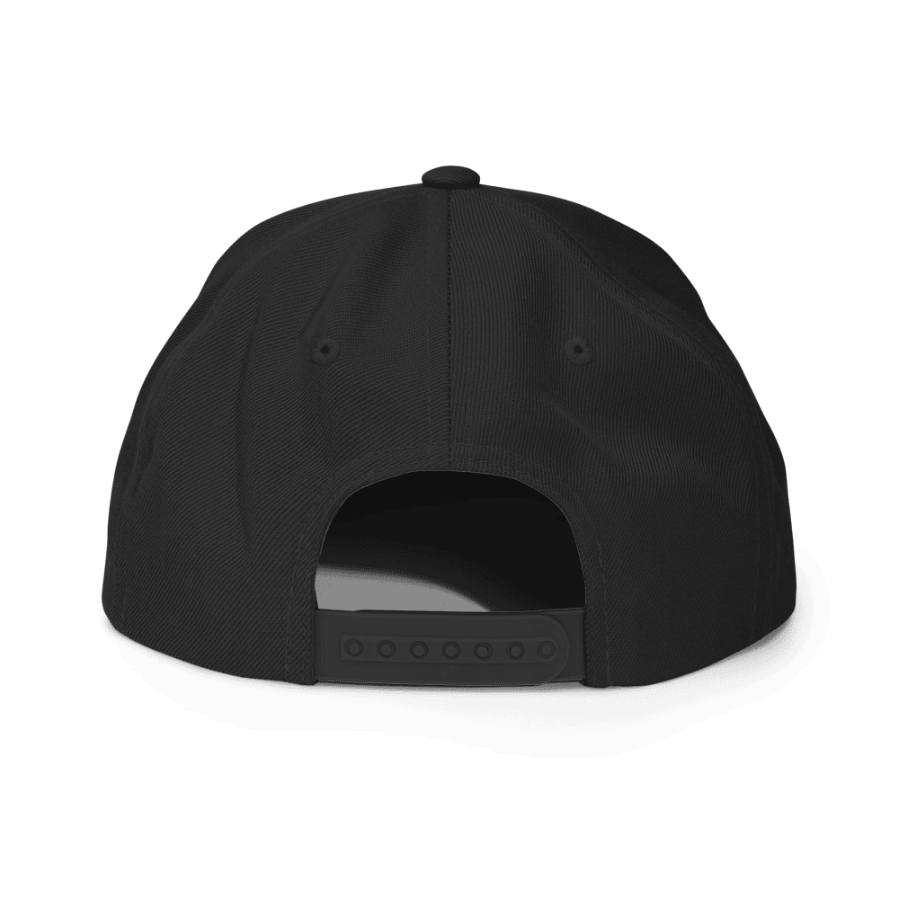 Gem Mint 10 Snapback Hat, photo 2 of 6