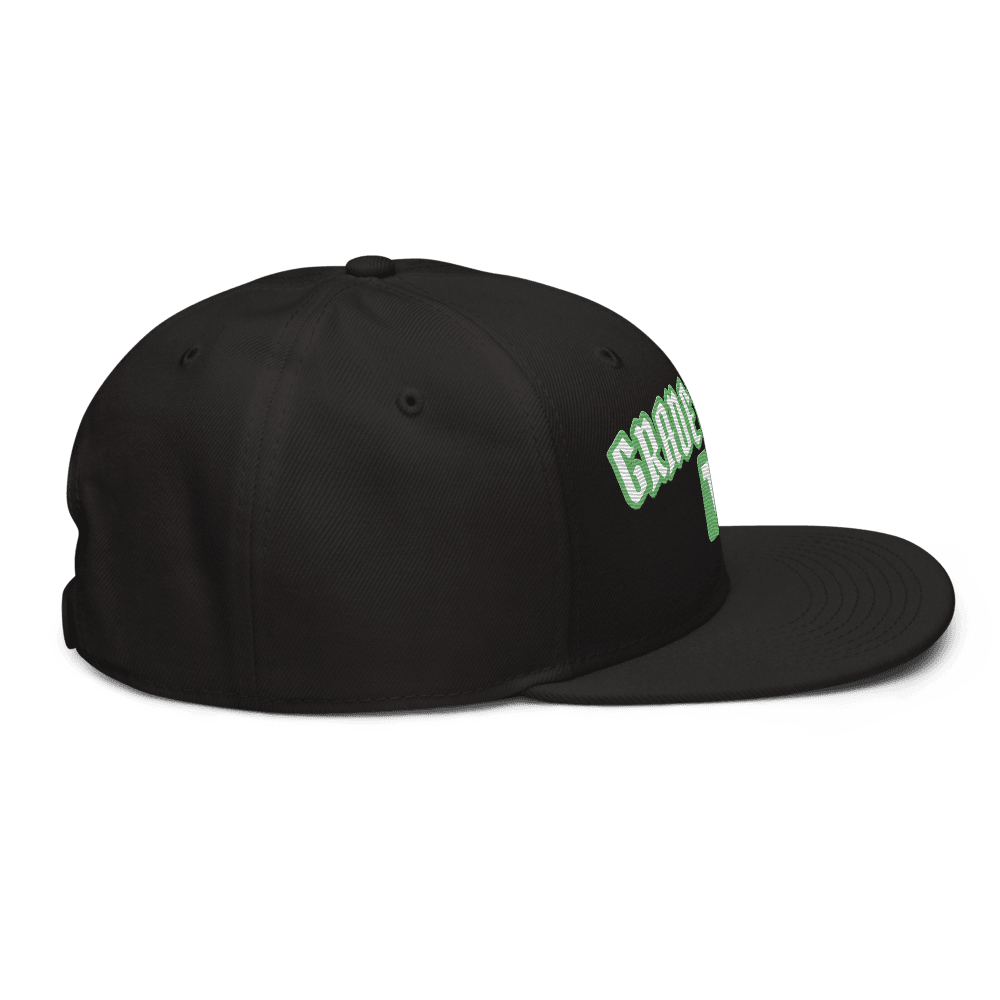 GON Name Plate Snapback Hat, photo 6 of 6